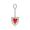 Silver-Red-Green - Front - Wales Crest Keyring