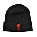 Front - Liverpool FC Childrens/Kids Mass Turned Up Cuff Beanie