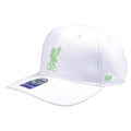 Front - Liverpool FC MVP 47 Low Profile Snapback Cap