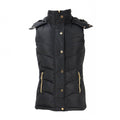 Front - Coldstream Womens/Ladies Leitholm Quilted Gilet