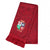 Front - Canterbury British & Irish Lions Winter Scarf