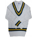 Front - Carta Sport Mens Cricket Jumper