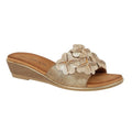 Front - Cipriata Womens/Ladies Clio Flower Wedge Mule Sandal
