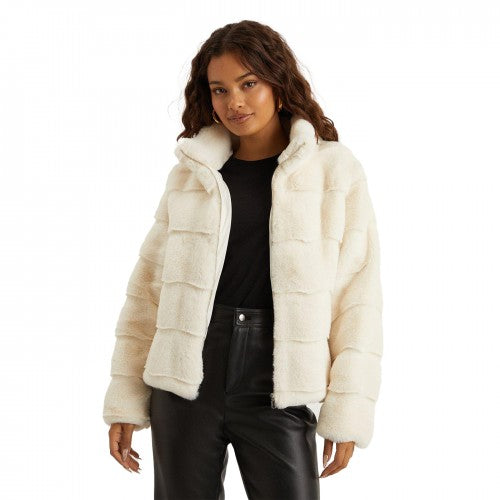 Front - Dorothy Perkins Womens/Ladies Faux Fur Zipped Petite Coat