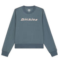 Front - Dickies Womens/Ladies Wordmark Heavyweight Crew Neck Sweatshirt
