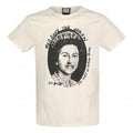 Front - Amplified Unisex Adult God Save The Queen Sex Pistols Vintage T-Shirt