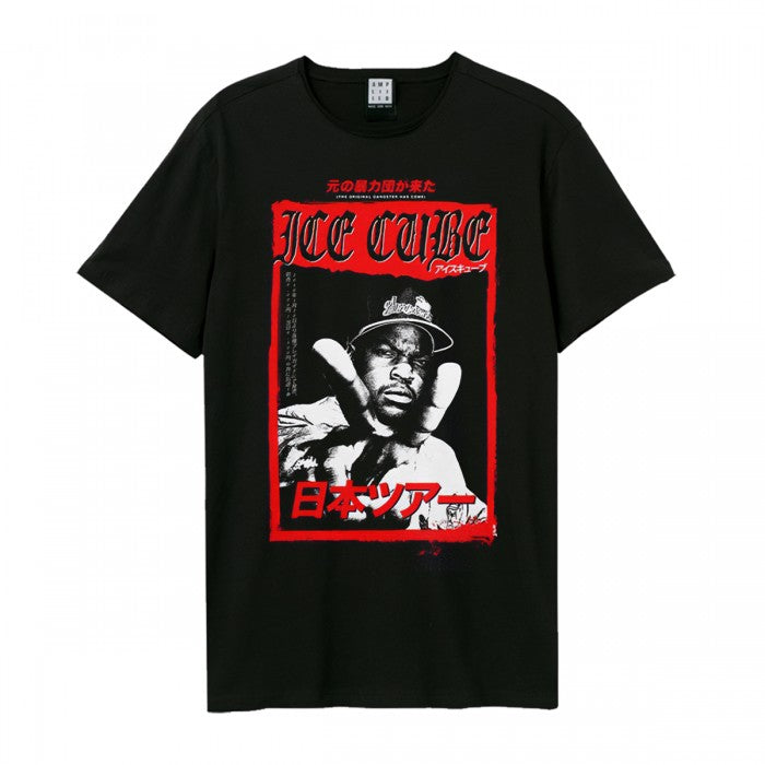 Front - Amplified Unisex Adult Kanji Cube Ice Cube Vintage T-Shirt