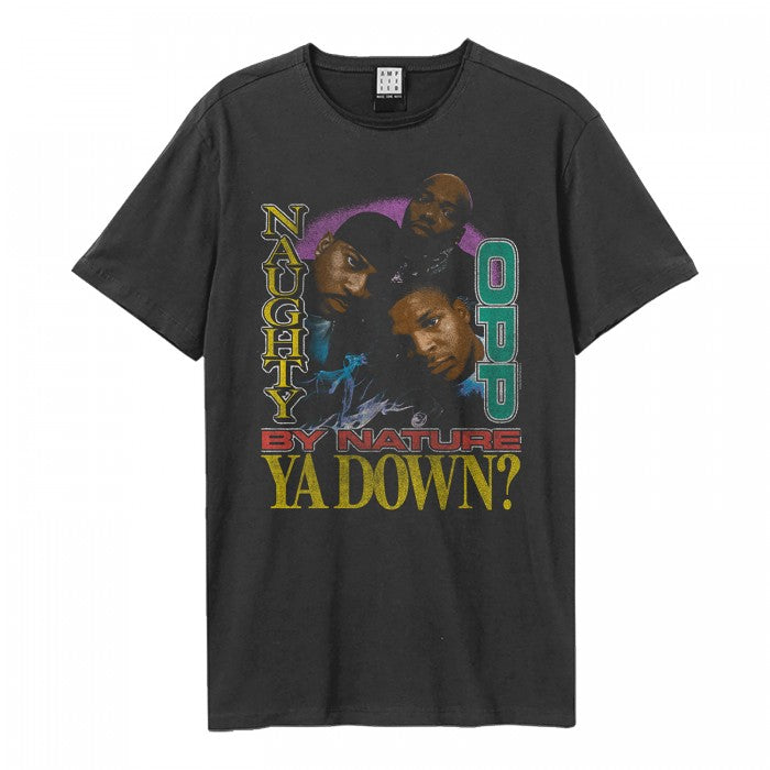 Front - Amplified Unisex Adult Hip Hop Hooray Naughty By Nature T-Shirt