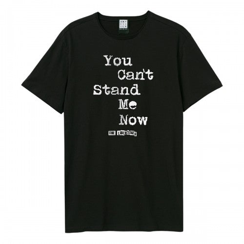 Front - Amplified Unisex Adult Can´t Stand Me Now The Libertines T-Shirt