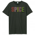 Front - Amplified Unisex Adult Spice Girls Logo T-Shirt