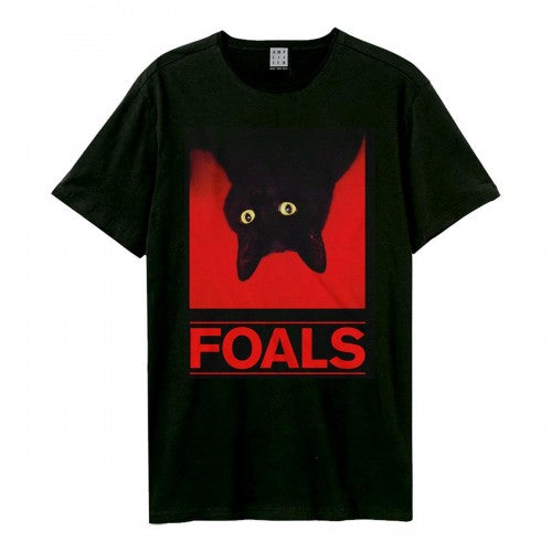 Front - Amplified Unisex Adult Black Cat Foals T-Shirt