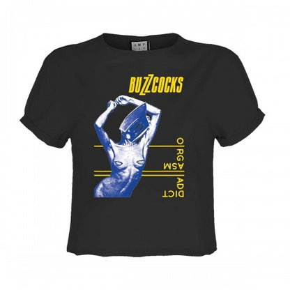 Front - Amplified Womens/Ladies Buzzcocks Orgasmatic Crop T-Shirt