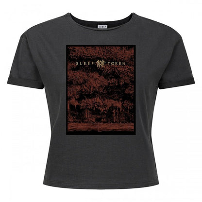 Front - Amplified Womens/Ladies Flamingo Sleep Token Crop Top