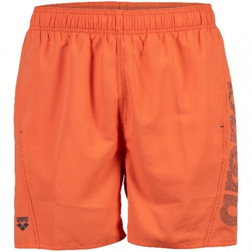Front - Arena Mens Board Shorts
