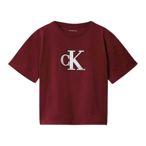 Front - Calvin Klein Childrens/Kids Jeans Big Logo Regular T-Shirt