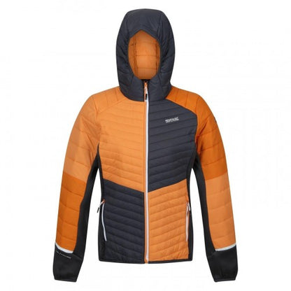 Front - Regatta Womens/Ladies Trutton Puffer Jacket