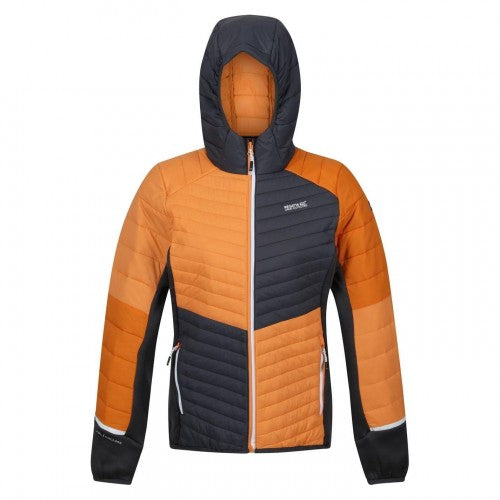 Front - Regatta Womens/Ladies Trutton Puffer Jacket