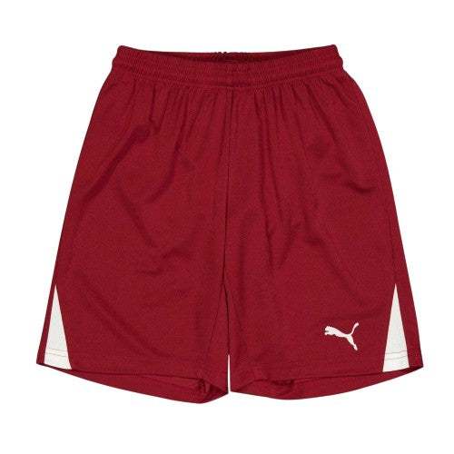 Front - Puma Childrens/Kids Team Logo Football Shorts