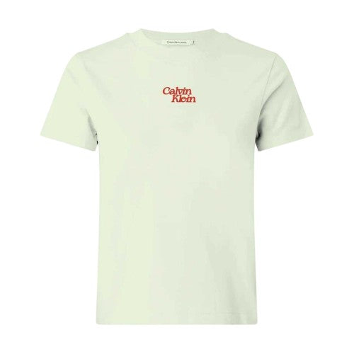Front - Calvin Klein Womens/Ladies Flock Print Crew Neck Short-Sleeved T-Shirt