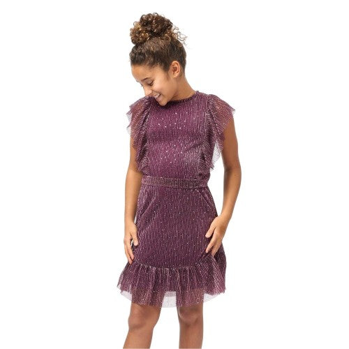 Front - Biba Girls Sparkle Plisse Dress