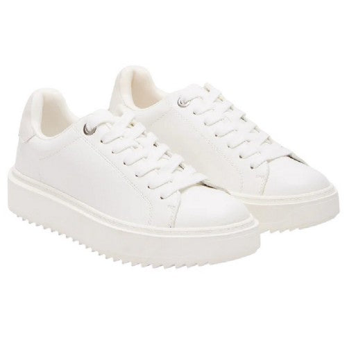 Front - Steve Madden Womens/Ladies Catcher 2.0 Canvas Trainers