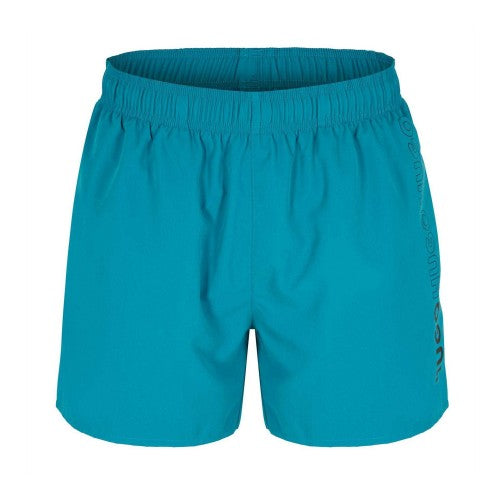 Front - Hugo Mens Tiki Vertical Logo Swim Shorts
