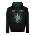 Front - Harry Potter Unisex Adult Slytherin Hoodie