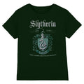 Front - Harry Potter Unisex Adult Slytherin T-Shirt