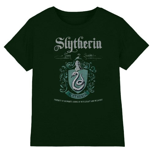 Front - Harry Potter Unisex Adult Slytherin T-Shirt
