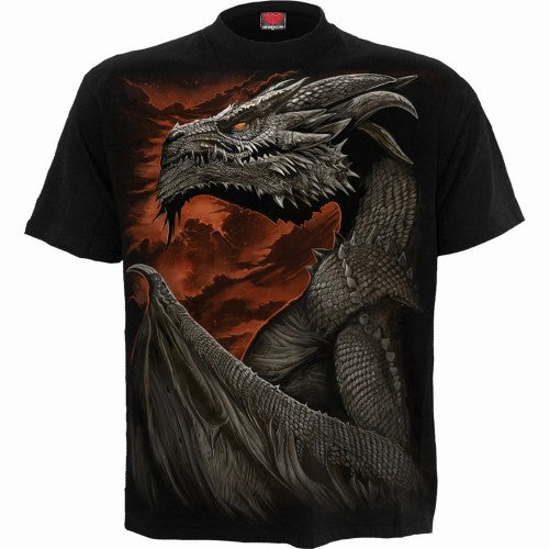 Front - Spiral Direct Childrens/Kids Majestic Draco Short-Sleeved T-Shirt