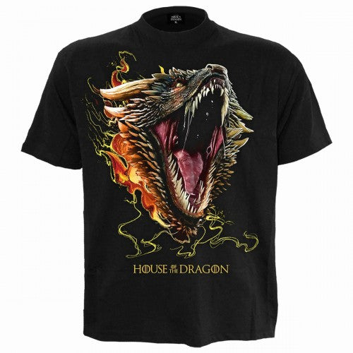 Front - Spiral Direct Unisex Adult Dragon Drogon House Of The Dragon T-Shirt