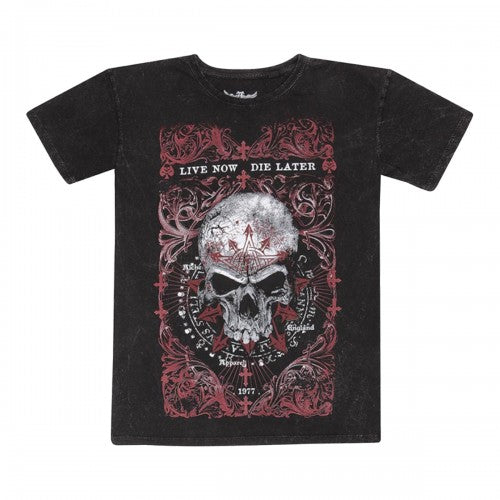 Front - Alchemy Mens Demons Birth T-Shirt