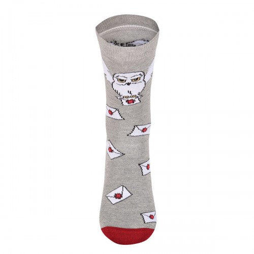 Front - Harry Potter Unisex Adult Hedwig Hogwarts Letter Socks