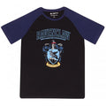 Front - Harry Potter Unisex Adult Ravenclaw Raglan T-Shirt