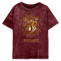 Front - Harry Potter Womens/Ladies Gryffindor Constellation T-Shirt