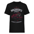 Front - Harry Potter Unisex Adult All Aboard T-Shirt