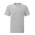 Front - Fruit of the Loom Unisex Adult Iconic T-Shirt
