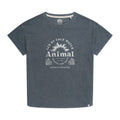 Front - Animal Womens/Ladies Phoenix Organic T-Shirt