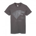 Front - Game of Thrones Mens Winter Is Coming Stark T-Shirt