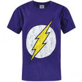 Front - DC Comics Boys The Flash Distressed Logo T-Shirt