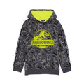 Front - Jurassic World Childrens/Kids Hoodie