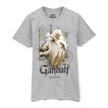 Front - The Lord Of The Rings Mens Gandalf Heather T-Shirt