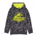 Front - Jurassic World: Camp Cretaceous Childrens/Kids Logo Hoodie