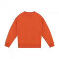 Front - Native Spirit Womens/Ladies Oversized Sweatshirt