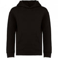 Front - Native Spirit Childrens/Kids Hoodie