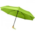 Lime - Front - Avenue Bo Foldable Auto Open Umbrella