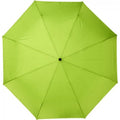 Lime - Back - Avenue Bo Foldable Auto Open Umbrella