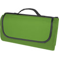 Front - Bullet Salvie Plastic Picnic Blanket