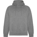 Front - Roly Unisex Adult Vinson Hoodie
