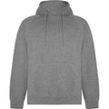 Front - Roly Unisex Adult Vinson Hoodie